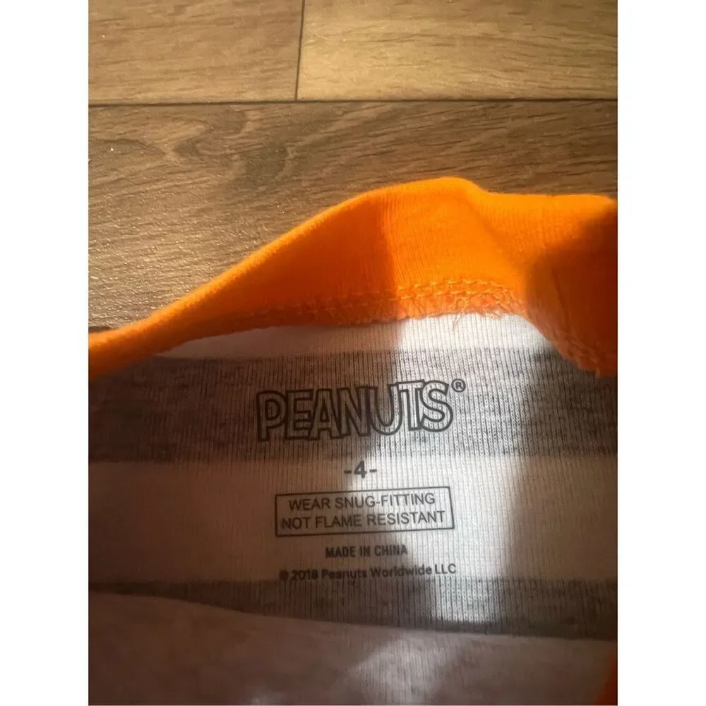 Peanuts snoopy halloween